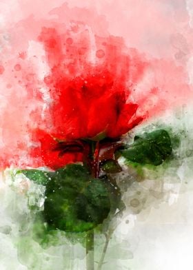 Digital Watercolor Rose
