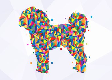 Cavapoo dog wpap