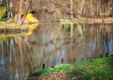 Reflection, lake, view