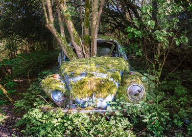 Abandoned VW Beetle Forest