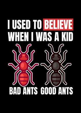 I Used To Believe Ants