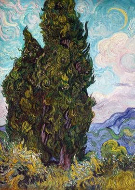 Cypresses