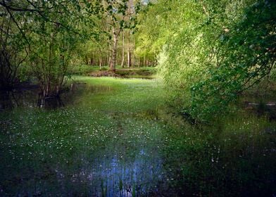 Fairy Tails Landscape