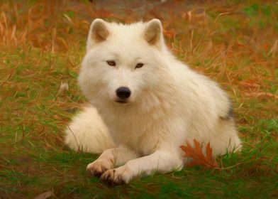 White wolf