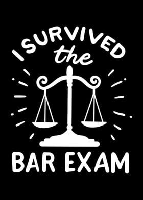 I Survived The Bar Exam