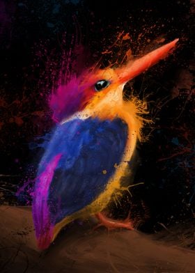 Oriental Dwarf Kingfisher