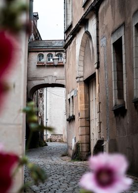 A street in Angers