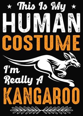 Kangaroos Kangaroo Outback