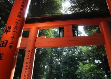 Torii