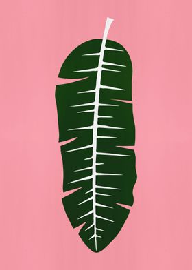 Tropical Leaf 01