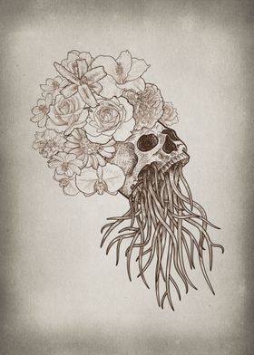 Skull with Flowers + Roots