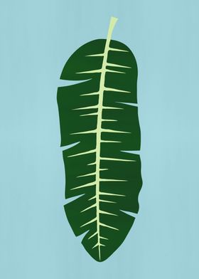 Tropical leaf 02