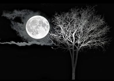 Full Moon Night Cloud Tree