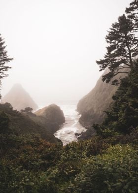 Oregon Coast Foggy Day