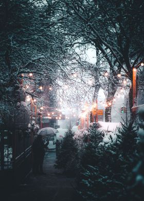 New York Christmas Lights