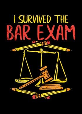 I Survived The Bar Exam