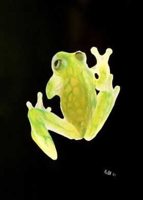 Vital Signs - Frog