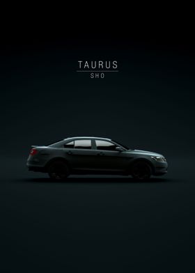 Taurus SHO 2010