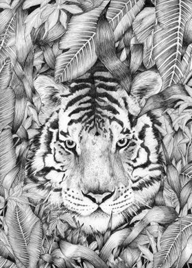 Jungle Tiger Majesty