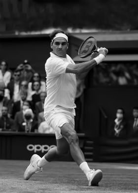 roger federer