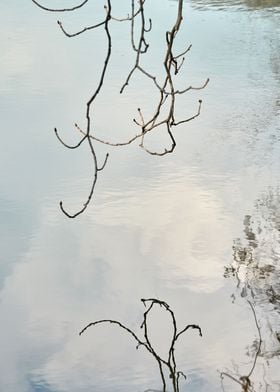 autumn reflection on water