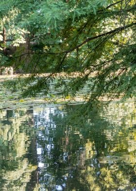 autumn reflection on water