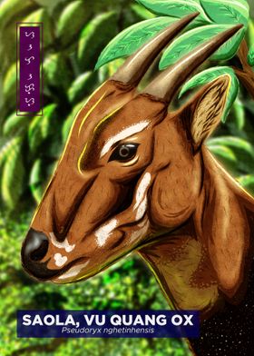 Saola