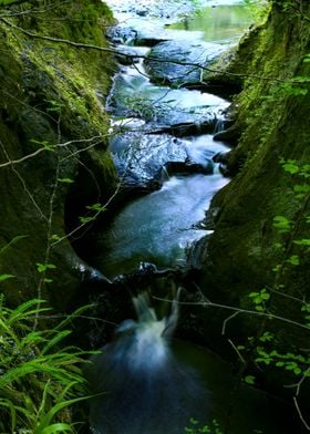 Fairy Blue Brook with Moss