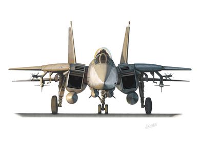 F14 Tomcat Illustration