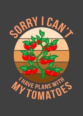 Tomato