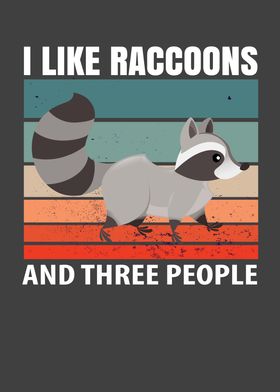 Racoon