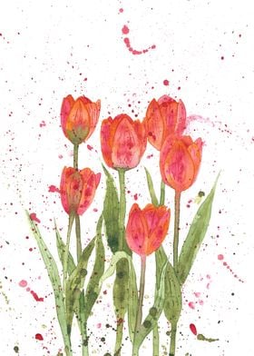 Red tulips