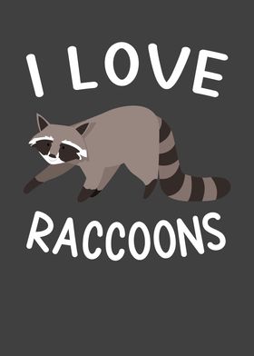 Racoon