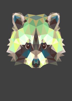 Racoon