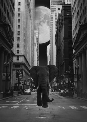 Elephant in new york BW