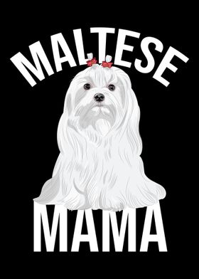 Maltese Mama Maltese  Dog 