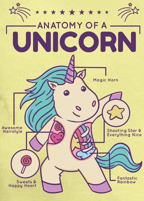 Anatomy of a Unicorn