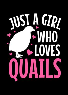 Quails Quail Lover