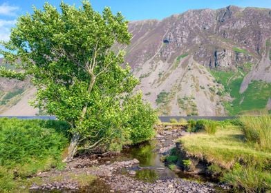 Lake District Landscape