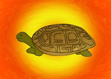 Tortoise