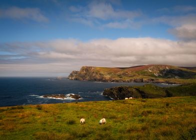 Atlantic pastoral