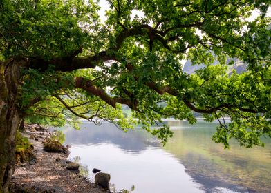 Cumbria Landscape