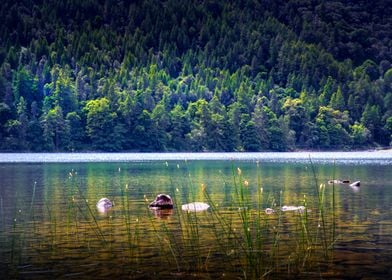 Lake District Landscape