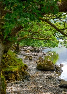 Lake Path