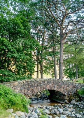 River Bridge