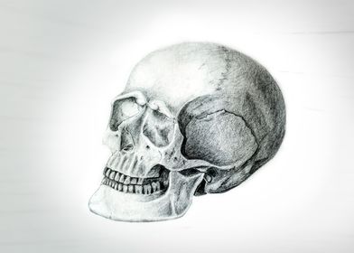 Skull 2