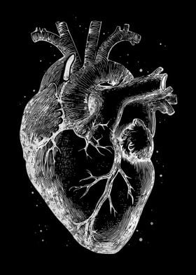 Heart black and white