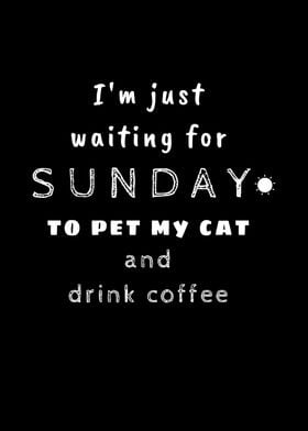 Waiting Sunday Cat Coffee