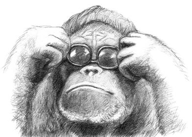 Orangutan and Sunglasses 