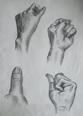 Human Hand study